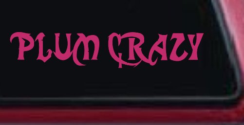 Plum Crazy Motor Sports Car or Truck Window Decal Sticker
