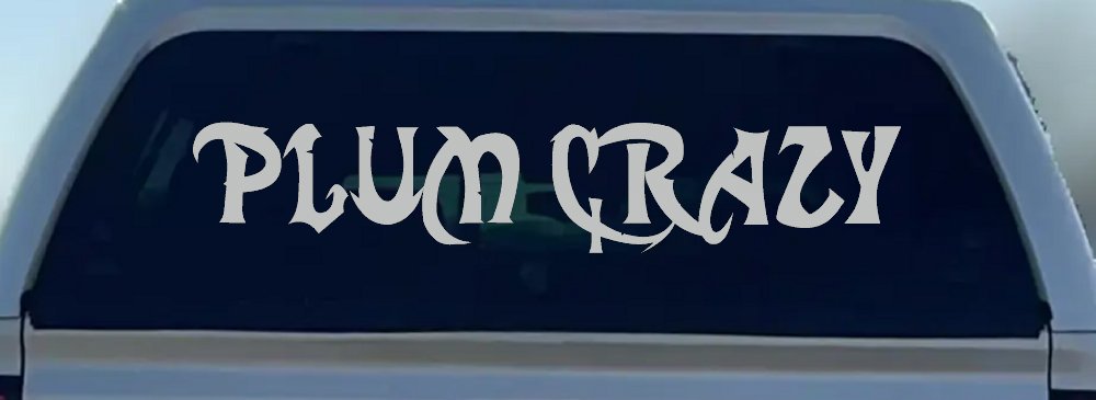 Plum Crazy Motor Sports Car or Truck Window Decal Sticker (Light Gray)