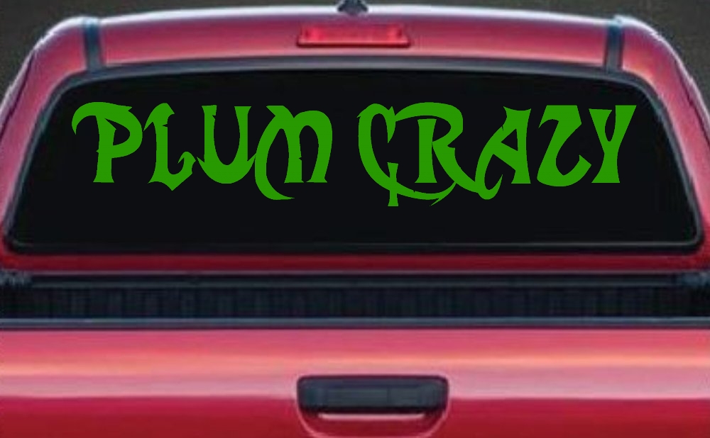 Plum Crazy Motor Sports Car or Truck Window Decal Sticker