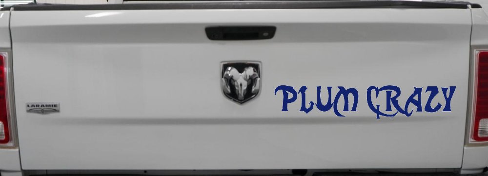 Plum Crazy Motor Sports Car or Truck Window Decal Sticker