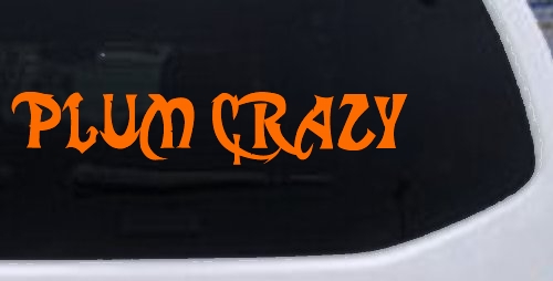 Plum Crazy Motor Sports Car or Truck Window Decal Sticker