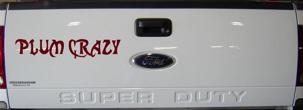 Plum Crazy Motor Sports Car or Truck Window Decal Sticker