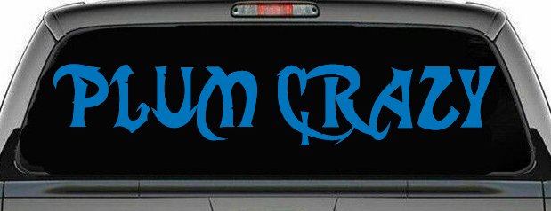 Plum Crazy Motor Sports Car or Truck Window Decal Sticker