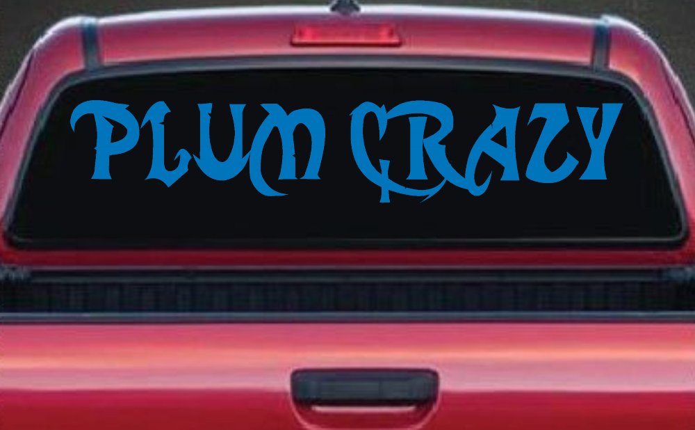 Plum Crazy Motor Sports Car or Truck Window Decal Sticker (Sky Blue)