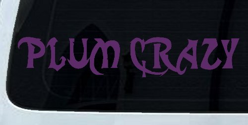 Plum Crazy Motor Sports Car or Truck Window Decal Sticker (Violet)
