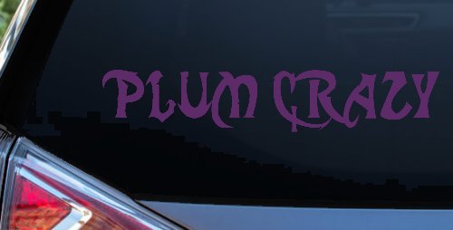 Plum Crazy Motor Sports Car or Truck Window Decal Sticker