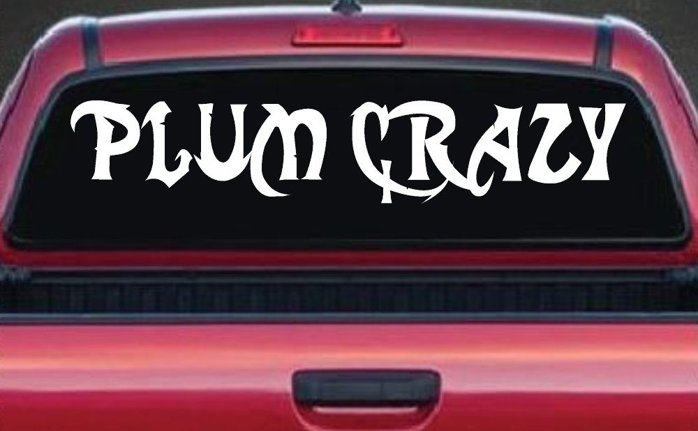 Plum Crazy Car Name Vinyl Decal Sticker for Car Truck Window (White)