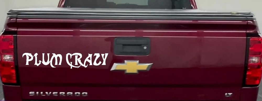 Plum Crazy Motor Sports Car or Truck Window Decal Sticker