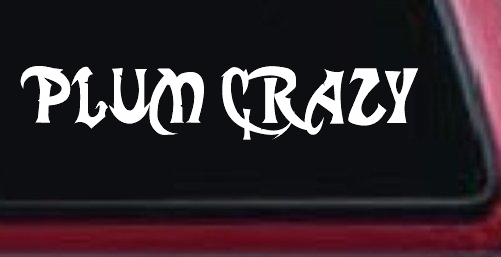 Plum Crazy Motor Sports Car or Truck Window Decal Sticker