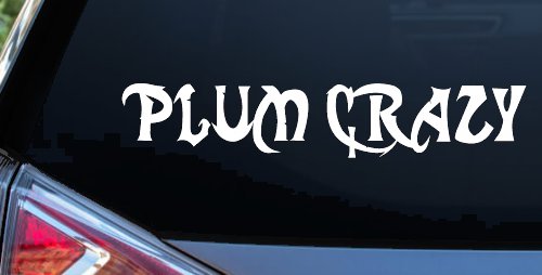 Plum Crazy Motor Sports Car or Truck Window Decal Sticker