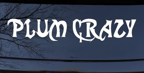 Plum Crazy Motor Sports Car or Truck Window Decal Sticker (White)
