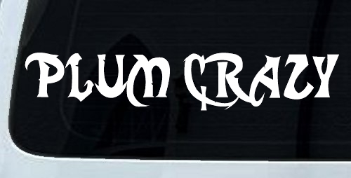 Plum Crazy Motor Sports Car or Truck Window Decal Sticker