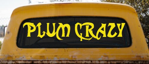 Plum Crazy Motor Sports Car or Truck Window Decal Sticker