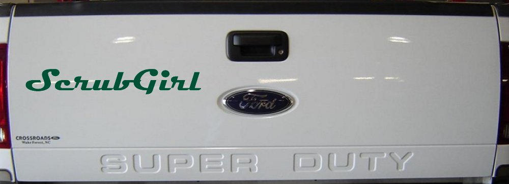 Scrub Girl Car or Truck Window Decal Sticker