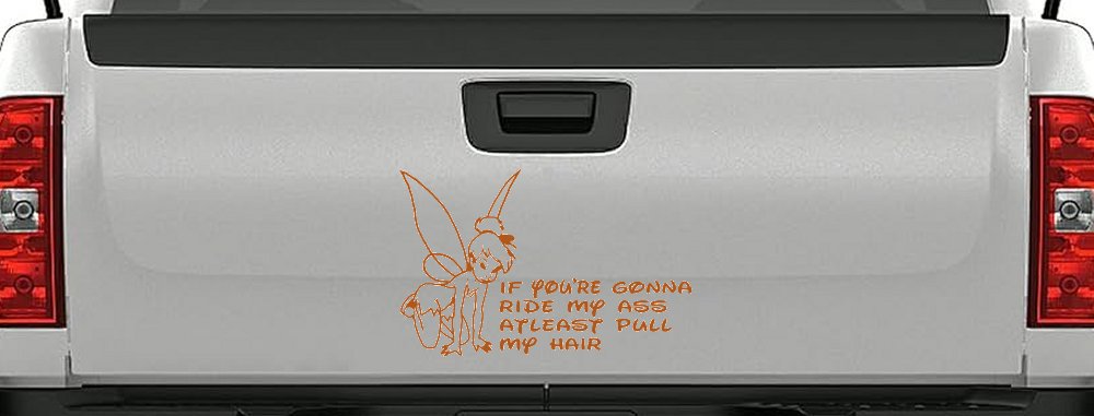 Tinkerbell Tinker Bell If You're Gonna Ride My Ass At least Pull My Hair Funny Car or Truck Window Decal Sticker