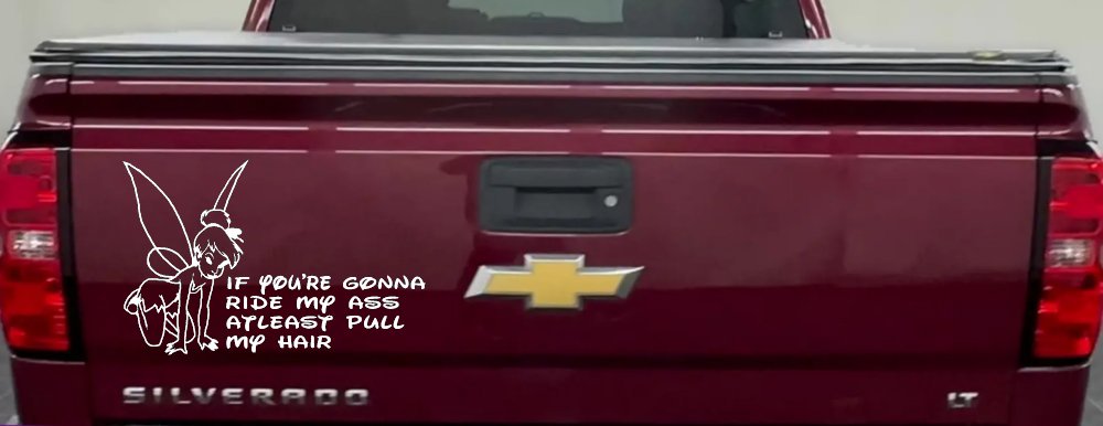 Tinkerbell Tinker Bell If You're Gonna Ride My Ass At least Pull My Hair Funny Car or Truck Window Decal Sticker