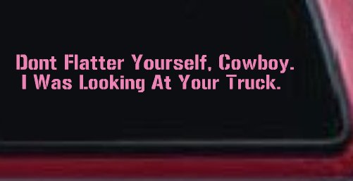 Don't Flatter Yourself Cowboy I was Looking At Your Truck Car or Truck Window Decal Sticker (Pink)