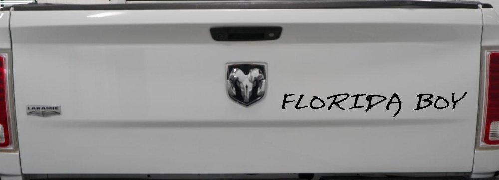 Florida Boy Car or Truck Window Decal Sticker (Black)
