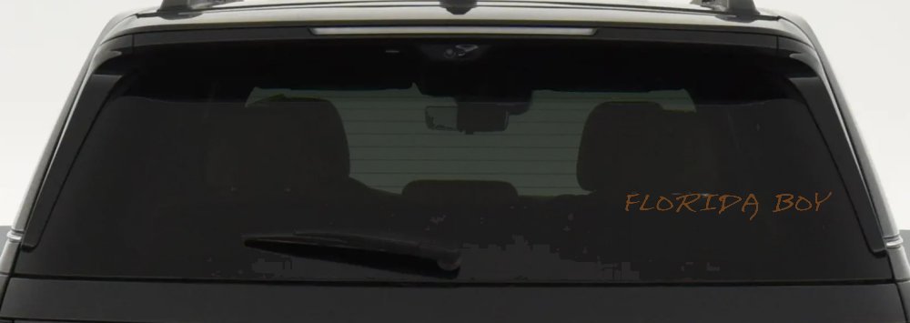 Florida Boy Car or Truck Window Decal Sticker