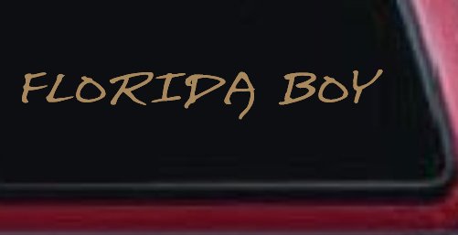 Florida Boy Car or Truck Window Decal Sticker