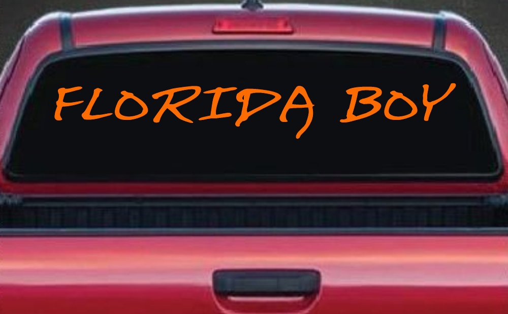 Florida Boy Car or Truck Window Decal Sticker