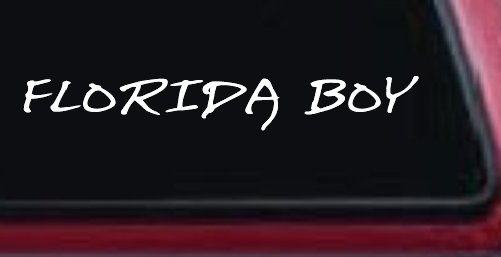 Florida Boy Car or Truck Window Decal Sticker (White)