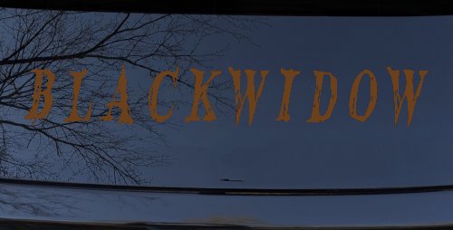 Blackwidow Car or Truck Window Vinyl Decal Sticker (Copper)