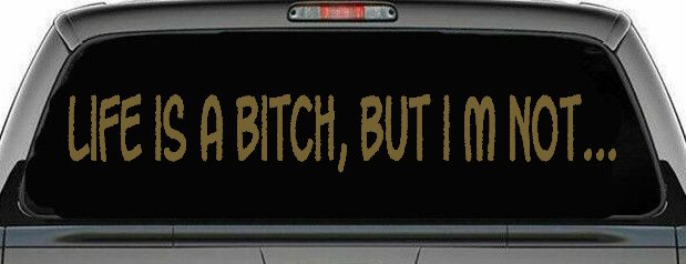 Life Is A Bitch But Im Not Car or Truck Window Decal Sticker (Gold)