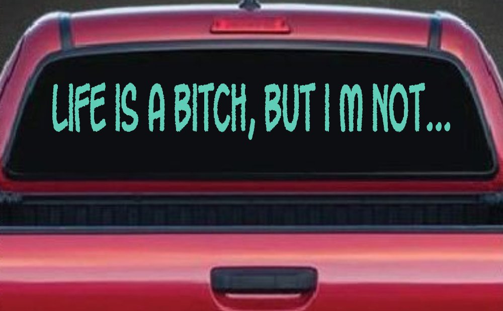 Life Is A Bitch But Im Not Car or Truck Window Decal Sticker