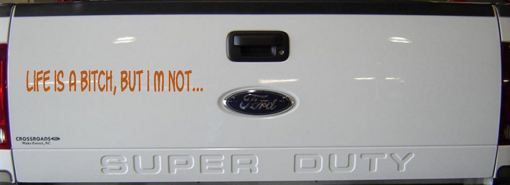 Life Is A Bitch But Im Not Car or Truck Window Decal Sticker (Nut Brown)
