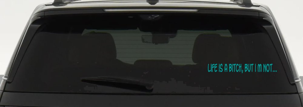 Life Is A Bitch But Im Not Car or Truck Window Decal Sticker