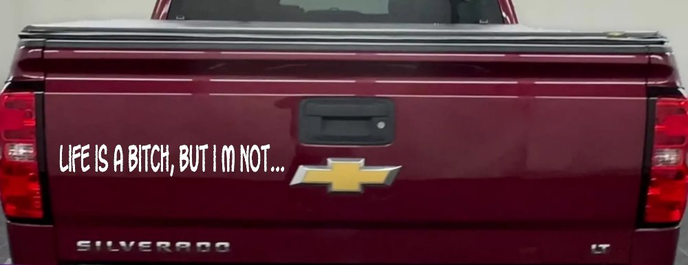 Life Is A Bitch But Im Not Car or Truck Window Decal Sticker