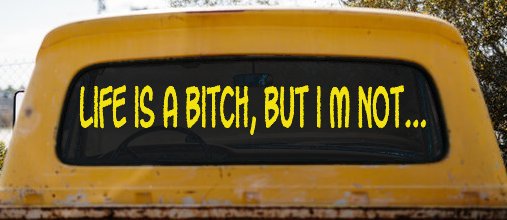 Life Is A Bitch But Im Not Car or Truck Window Decal Sticker (Yellow)