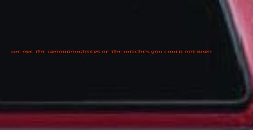 We are the granddaughters of the witches you could not burn Car or Truck Window Decal Sticker (Orange Red)