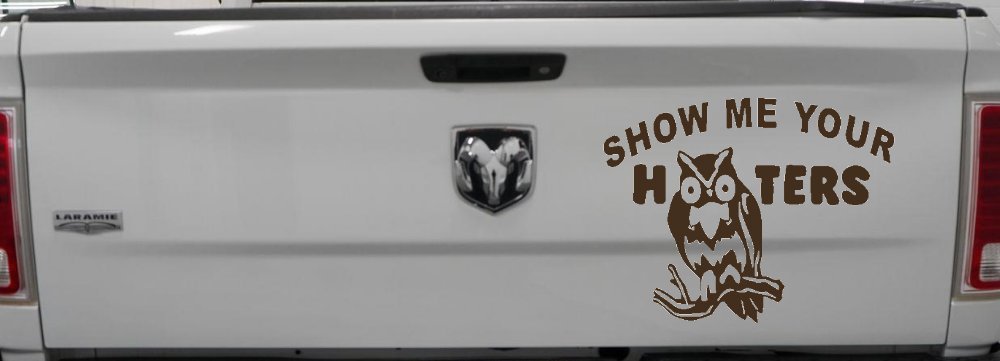 Show Me Your Hooters Owl Car or Truck Window Decal Sticker (Brown)