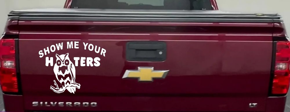 Show Me Your Hooters Owl Car or Truck Window Decal Sticker (White)