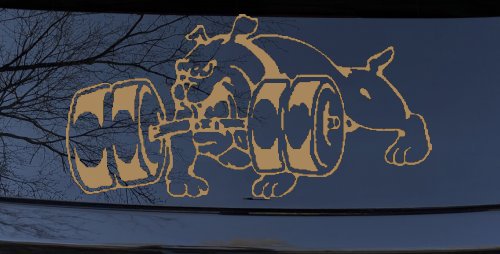 Bulldog With Barbells Car or Truck Window Decal Sticker (Light Brown)