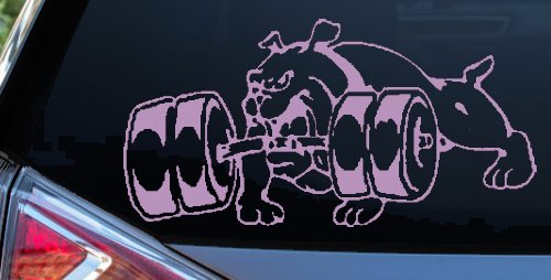 Bulldog With Barbells Car or Truck Window Decal Sticker (Lilac)