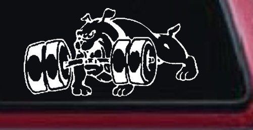 Bulldog With Barbells Car or Truck Window Decal Sticker (White)