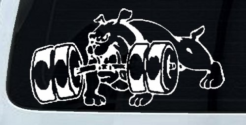 Bulldog With Barbells Car or Truck Window Vinyl Decal Sticker (White)