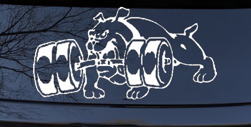 Bulldog With Barbells Car or Truck Window Decal Sticker (White)