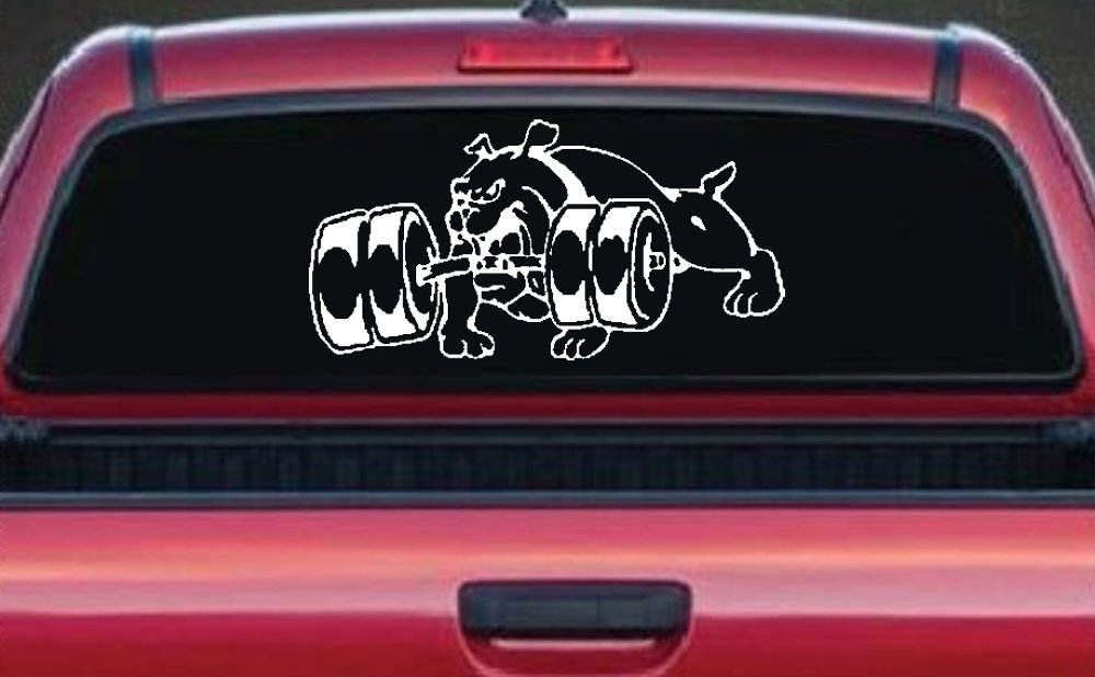 Bulldog With Barbells Car or Truck Window Decal Sticker (White)