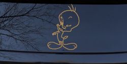 Tweety Bird Wink Cartoons Car or Truck Window Decal Sticker (Light Brown)