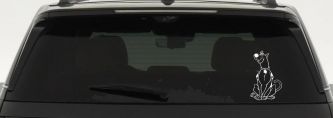 Scooby Doo Cartoons Car or Truck Window Decal Sticker (White)