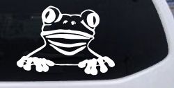Tree Frog Car or Truck Window Decal Sticker