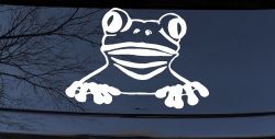 Tree Frog Car or Truck Window Decal Sticker