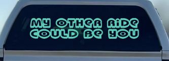 My Other Ride Could Be You Car Truck Window Vinyl Decal Sticker Funny (Mint)