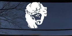 Jesus with tear Christian Car or Truck Window Decal Sticker