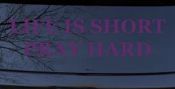 Life is Short Pray Hard Christian Car or Truck Window Decal Sticker (Violet)