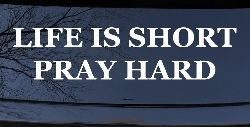 Life is Short Pray Hard Christian Car or Truck Window Decal Sticker